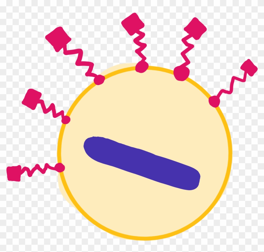 Peptidosomes - Circle #1671081