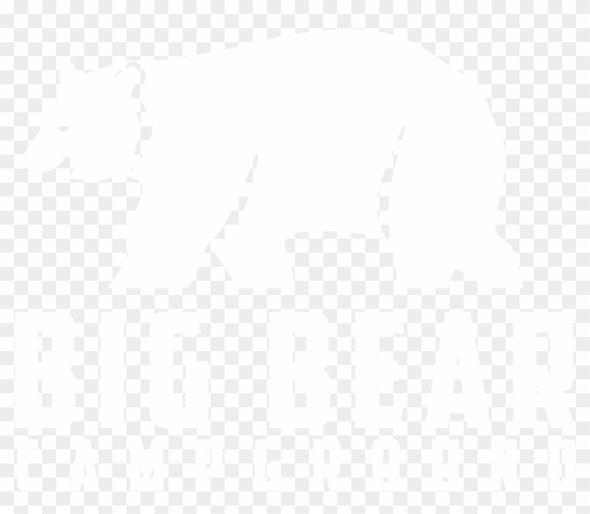 Polar Bear #1671427