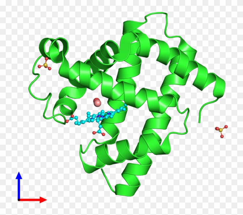 Pdb 5cnd Coloured By Chain And Viewed From The Front - Graphic Design #1671984