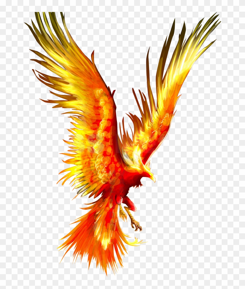 Phoenix Clipart Firebird - Phoenix Bird Transparent Background #1674416