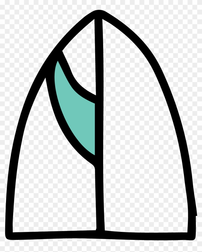 Single Fin - Single Fin #1677085
