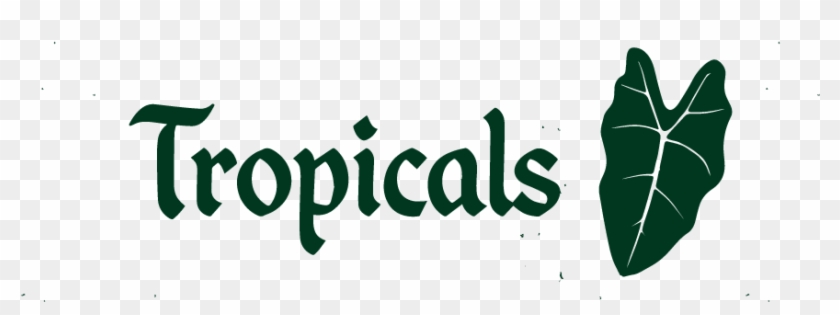 Trops - Calligraphy #1678794