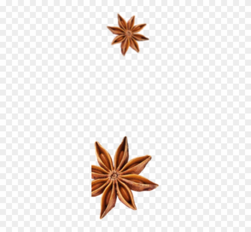 Spices - Flower #1680573