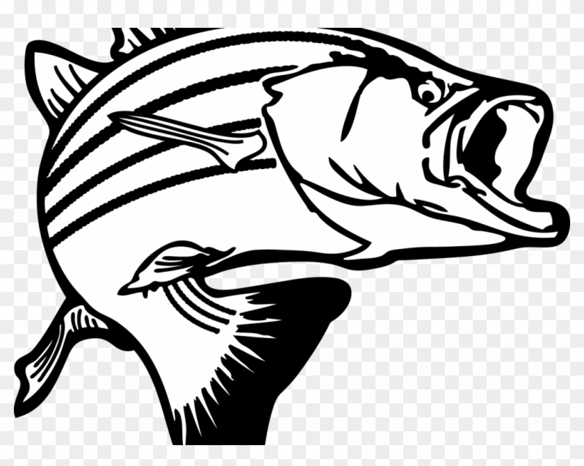 Download Clip Art Fish - Salmon Clipart Black And White #1680711