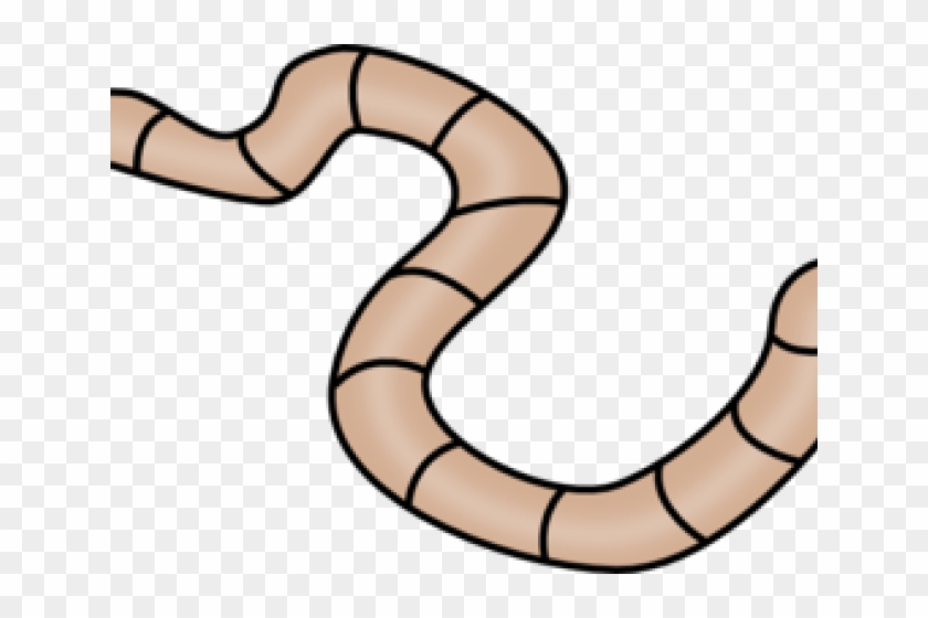 Worm Clipart Transparent Background #1681022