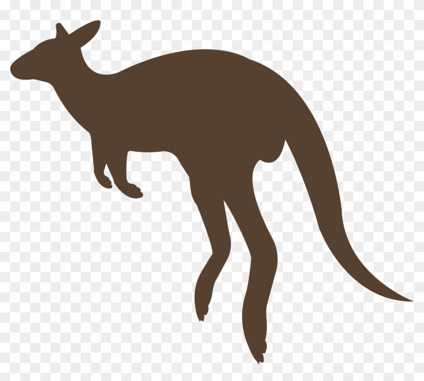 Share This Article - Kangaroo #1681334