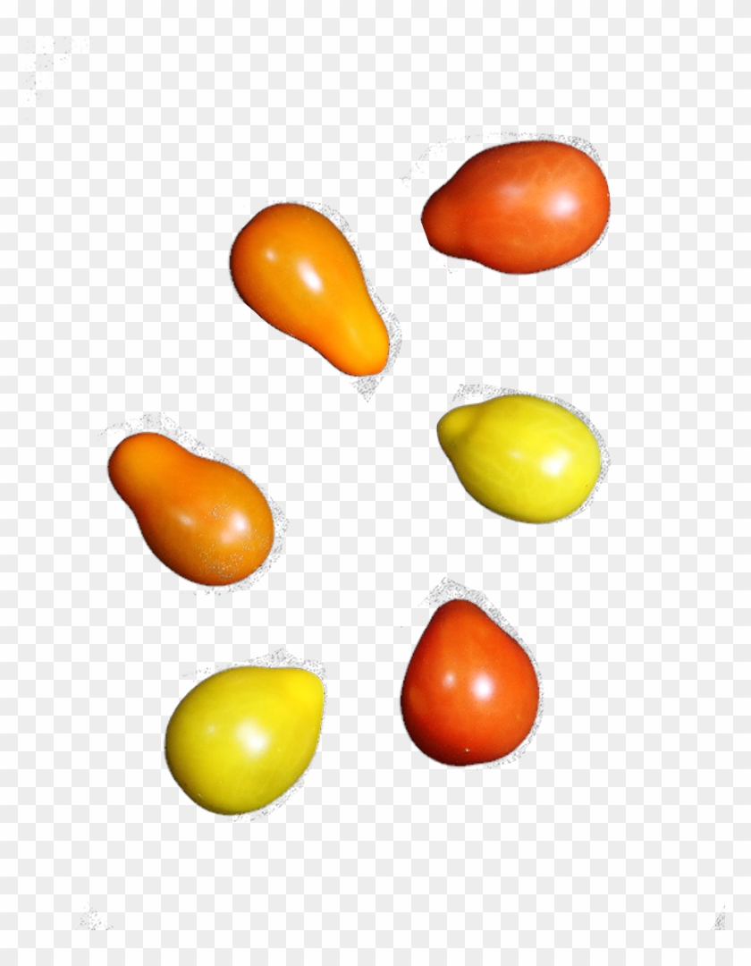 Eminent Cherry Teardrop - Vegetable #1681666
