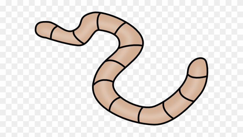 Brown Earth Worm Clip Art At Clker - Worm Clipart #258874