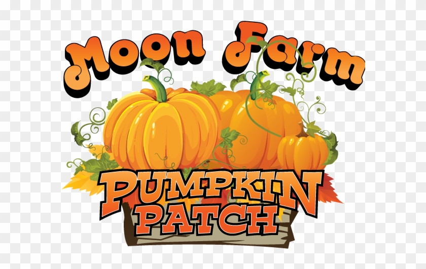 Pumpkin Patch - So-03c Xperia Ray 【2個以上 送料無料】 インパクト/ハロウィン So03c A03 #259365