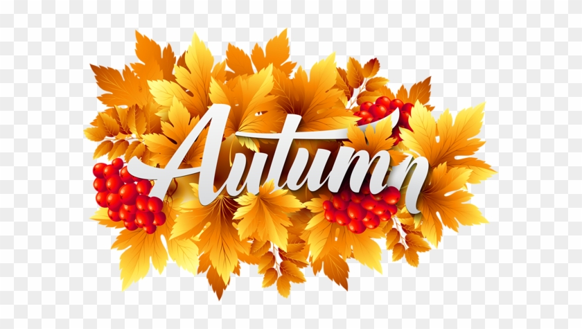Autumn Decorative Image Png Clipart - Clip Art #259432