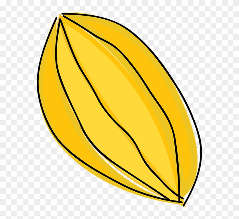 Fruit Cartoon Pictures - Buah Belimbing Kartun #1682502