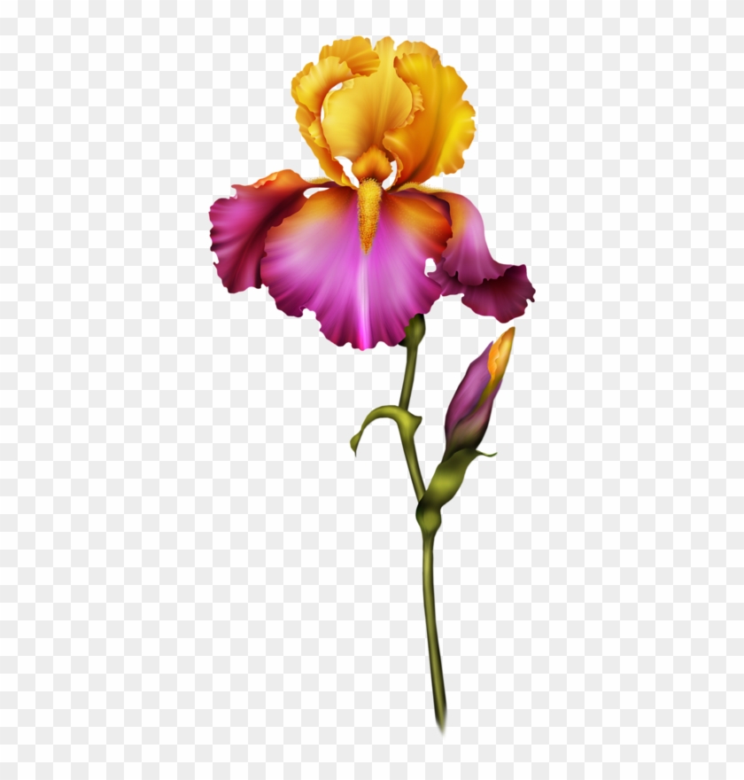 Яндекс - Фотки - R Letter In Flowers #1683652