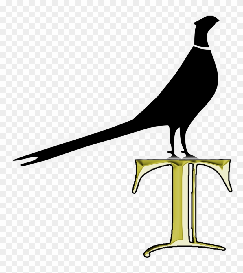 Phasianidae #1685700