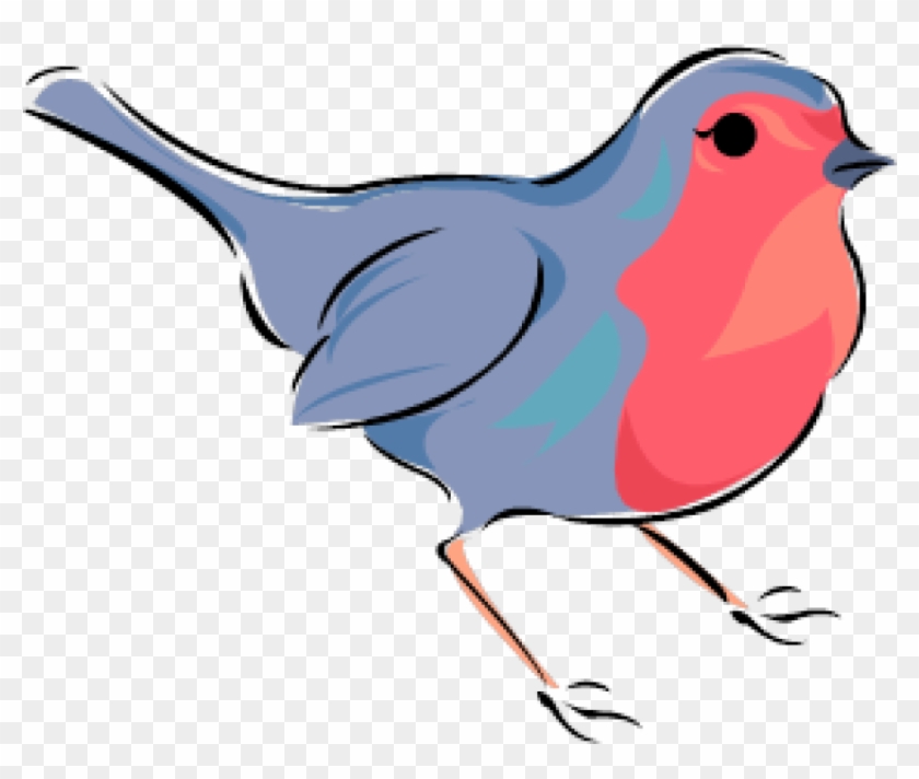 Robin Class - Finch #1685918