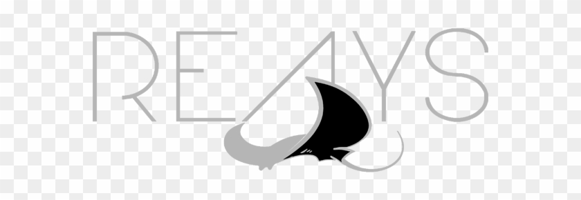 Raeys Martial Arts - Raeys Martial Arts #1686023