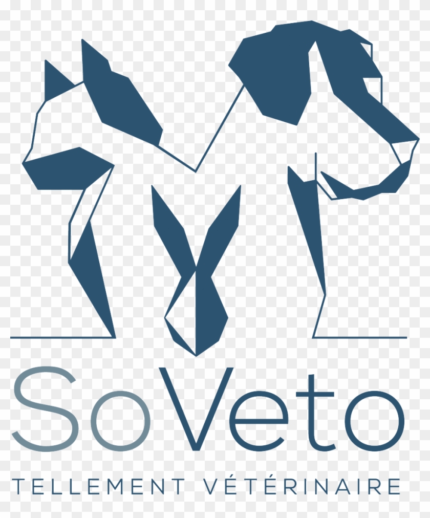 So Veto - Sos Ciné #1686080