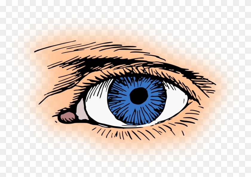 Eye Color Iris Pupil Visual Perception - Eye Color Iris Pupil Visual Perception #1686388