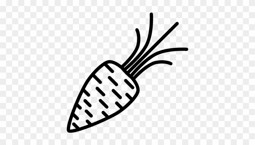 Carrot For Salad Vector - Carrot For Salad Vector #1687371