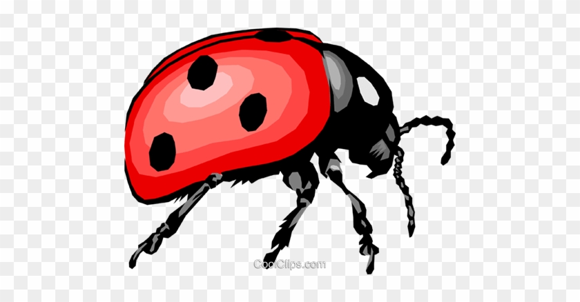 Ladybug Royalty Free Vector Clip Art Illustration - Ladybug Royalty Free Vector Clip Art Illustration #1687943