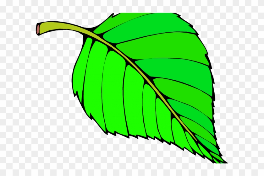 Green Leaves Clipart Grape Leave - Green Colour Objects For Preschool #1688030