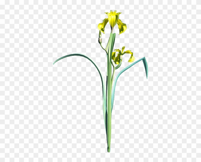 Column Clip Art Free - Iris #1688154
