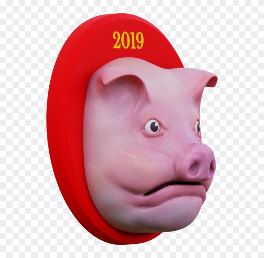 Domestic Pig #1688476