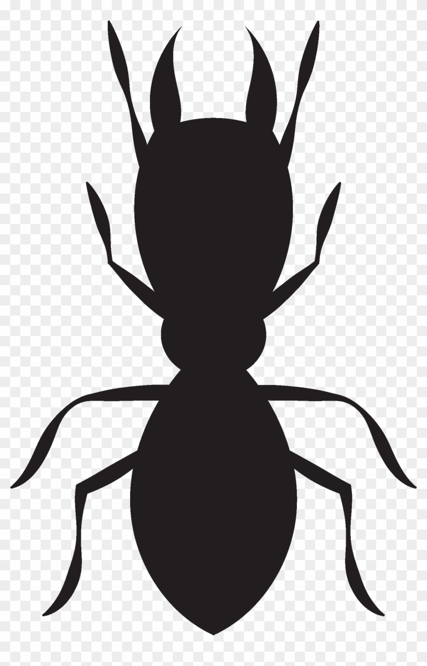 Termite - Ant #1688751