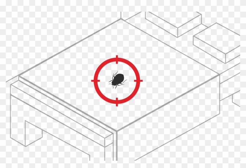 Bed Bug Exterminator With Proactive, Bed Bugs Are Eliminated - Bed Bug Exterminator With Proactive, Bed Bugs Are Eliminated #1688759