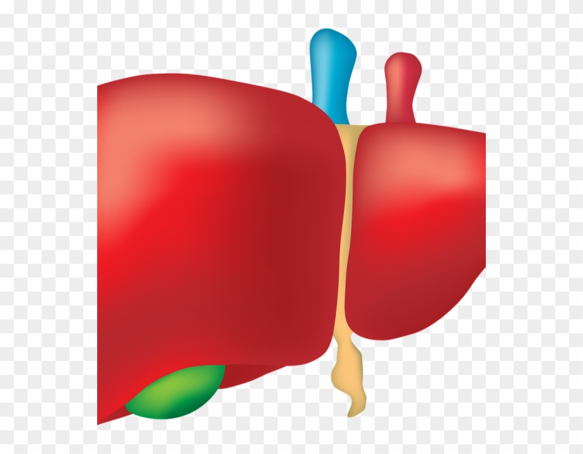 Real Liver #1689923