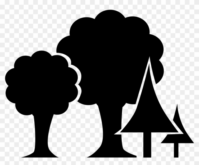 3,655 Trees - Silhouette #1690528