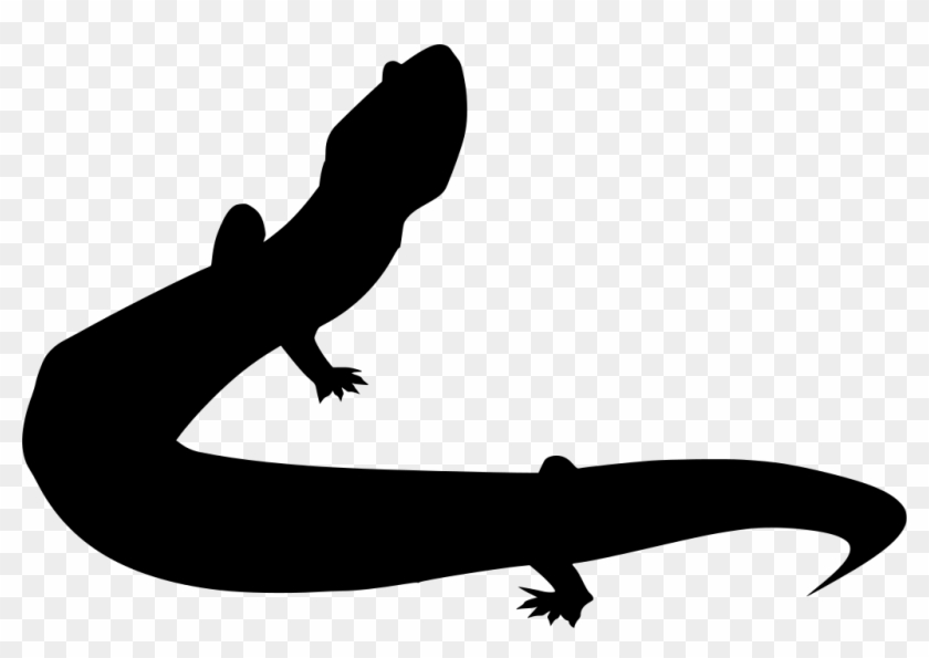 Info - Lizard #1690648