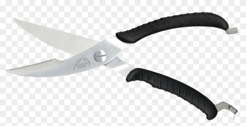 Shears #1690917