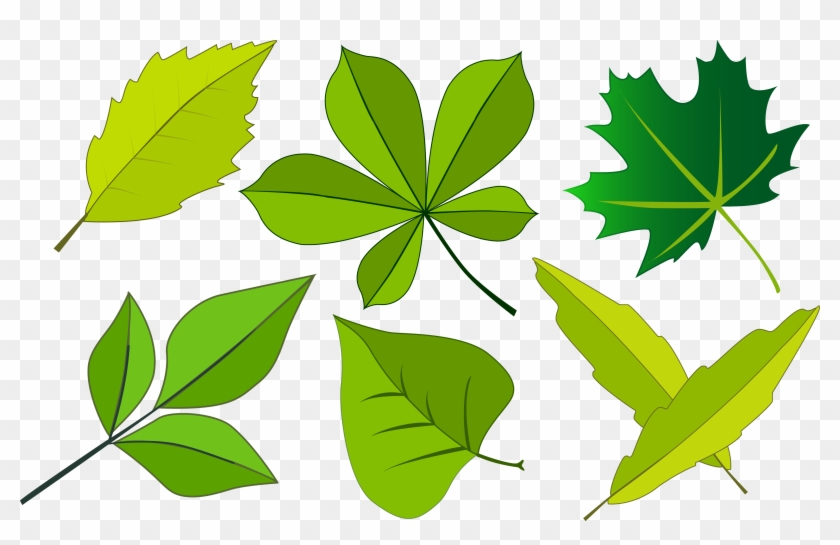 Trees - Theme Leaf Png #1691328