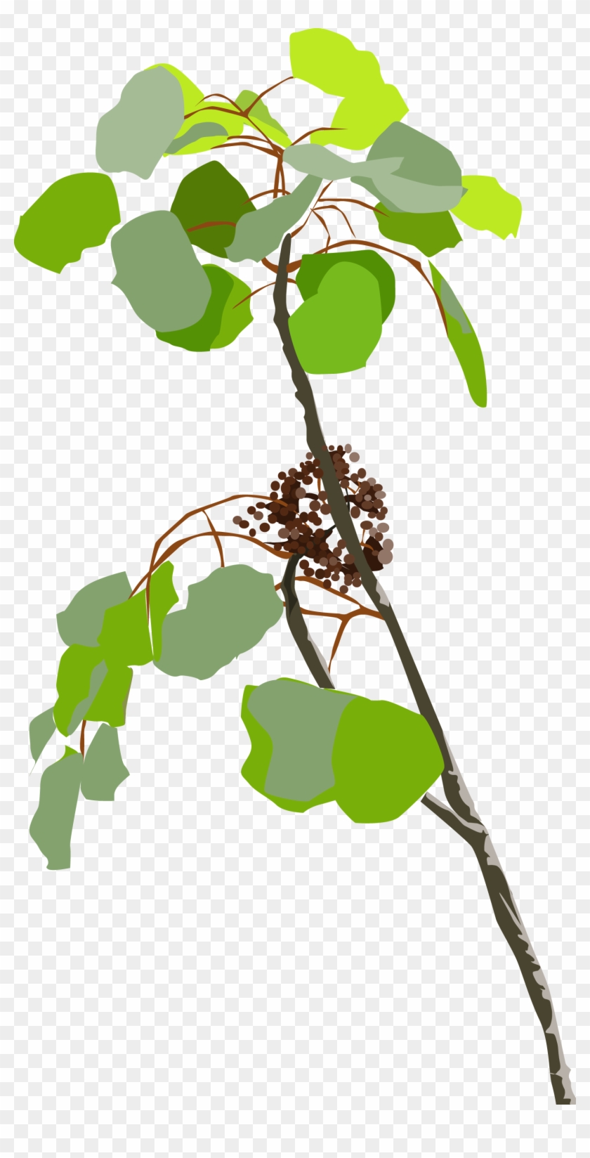 Lapa-lapa, Vector - Illustration #1691495