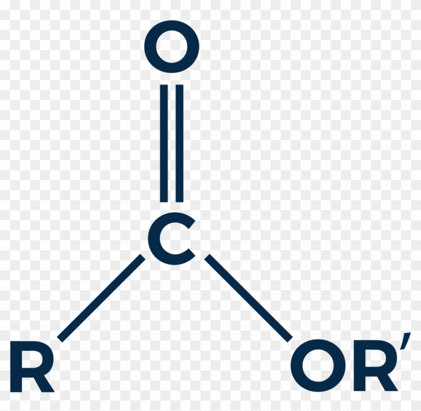 Ester - Ester #1691989