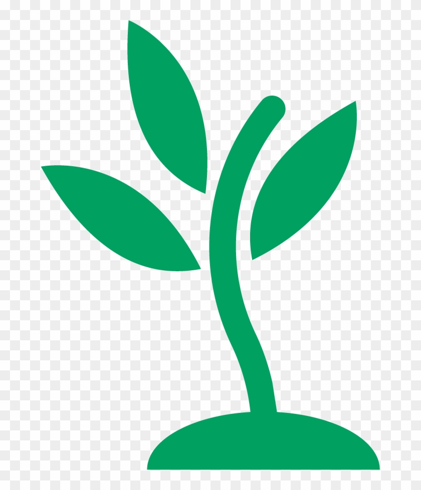 Seedling Clipart - Mennonite Church Usa #1692043