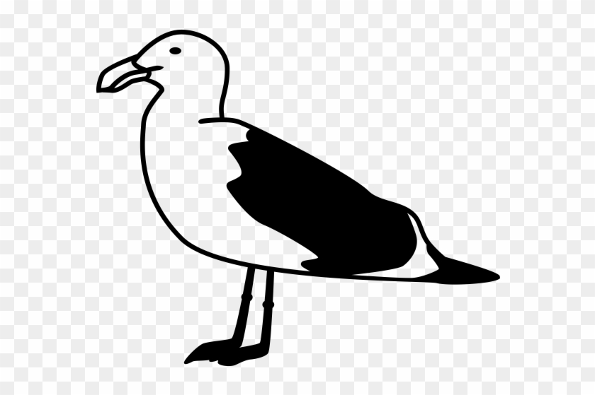 Duck #1692365