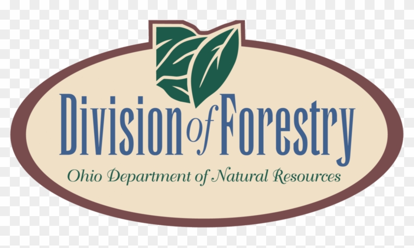 Forestry - Ohiodnr - Gov - Label #1693099