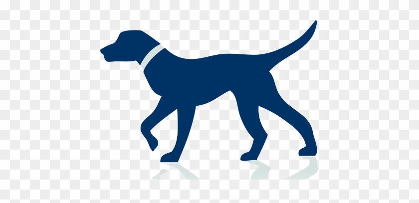 Dog #1693254