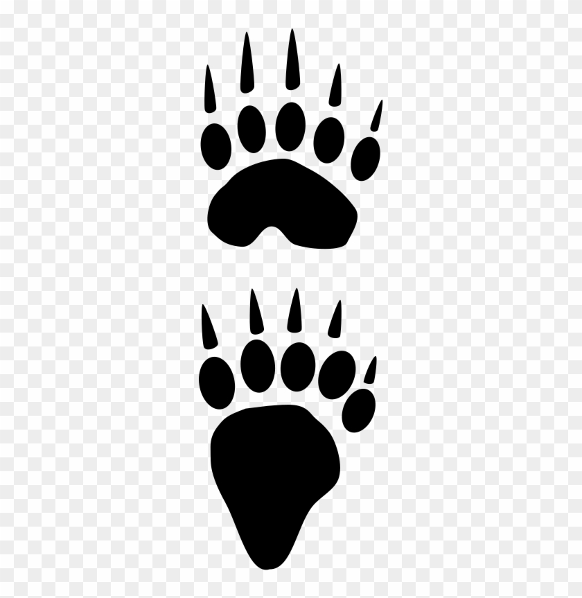 Paw #1694173