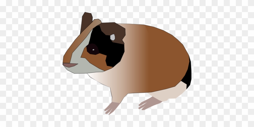Download Similars - Guinea Pig Clipart Png #1694605