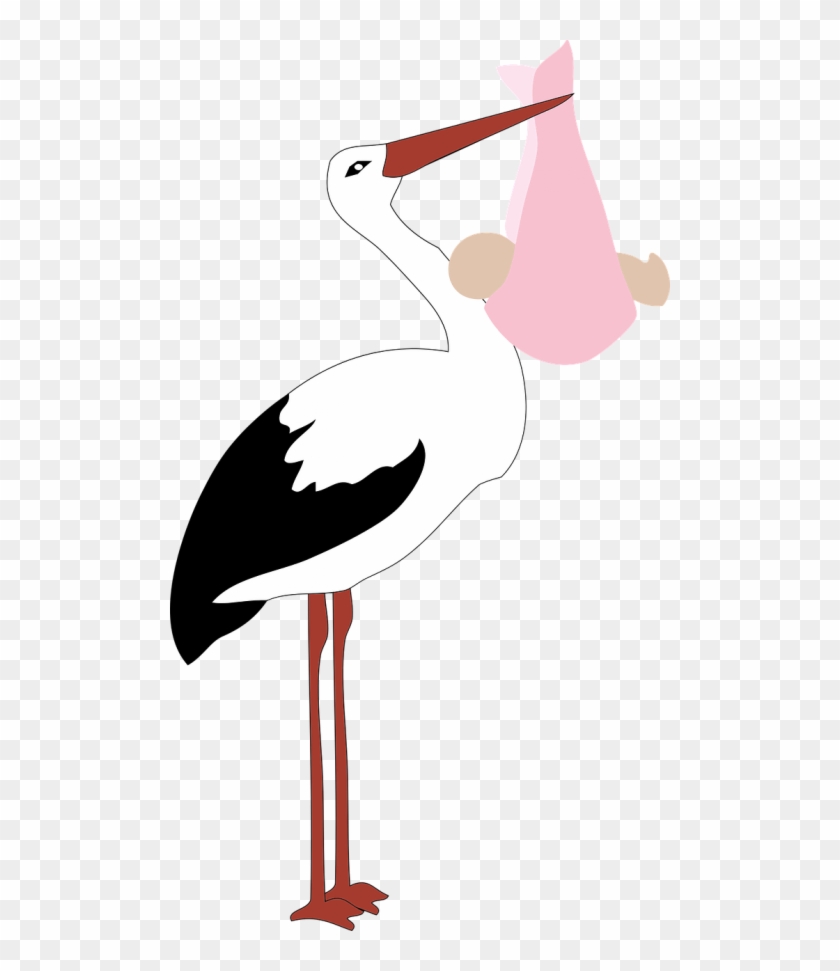Vector Graphics - Baby Girl Ooievaar #1694626