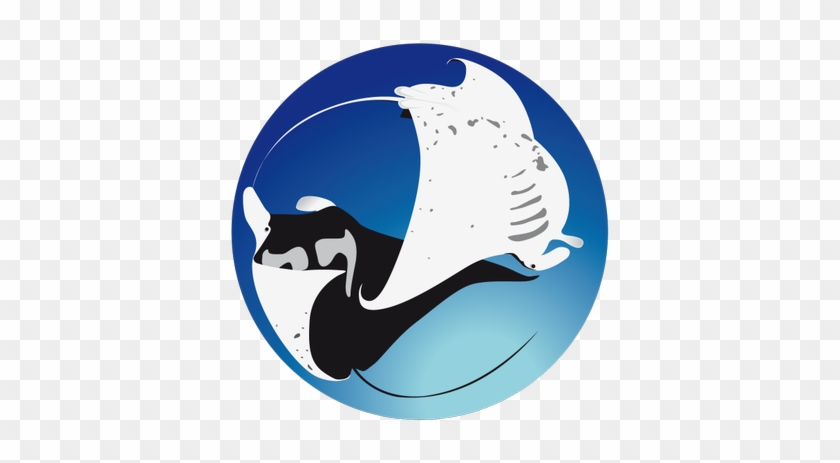 Project Manta - Project Manta #1695195