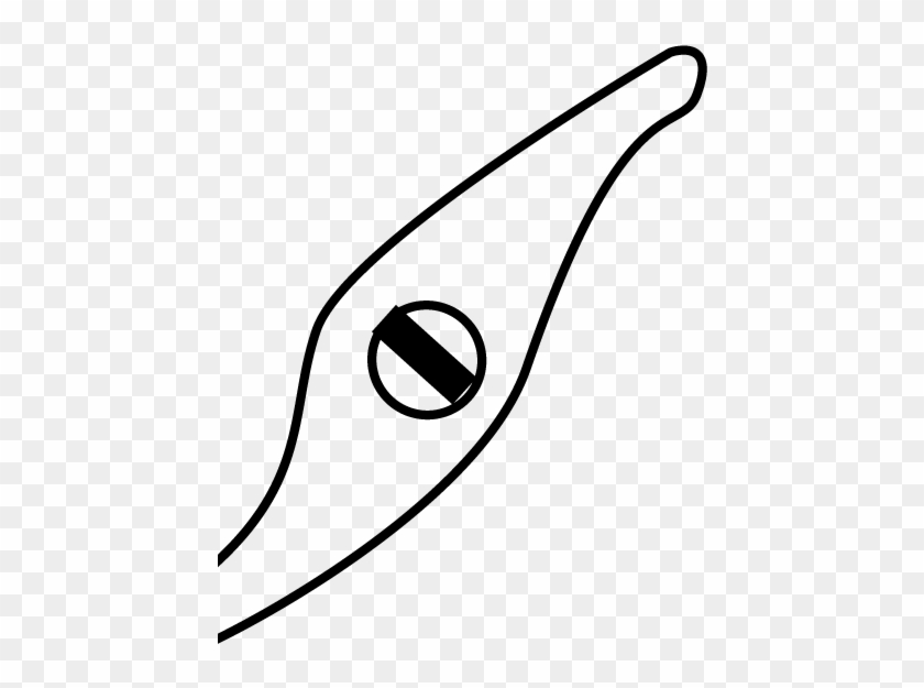 Line Art #1695908