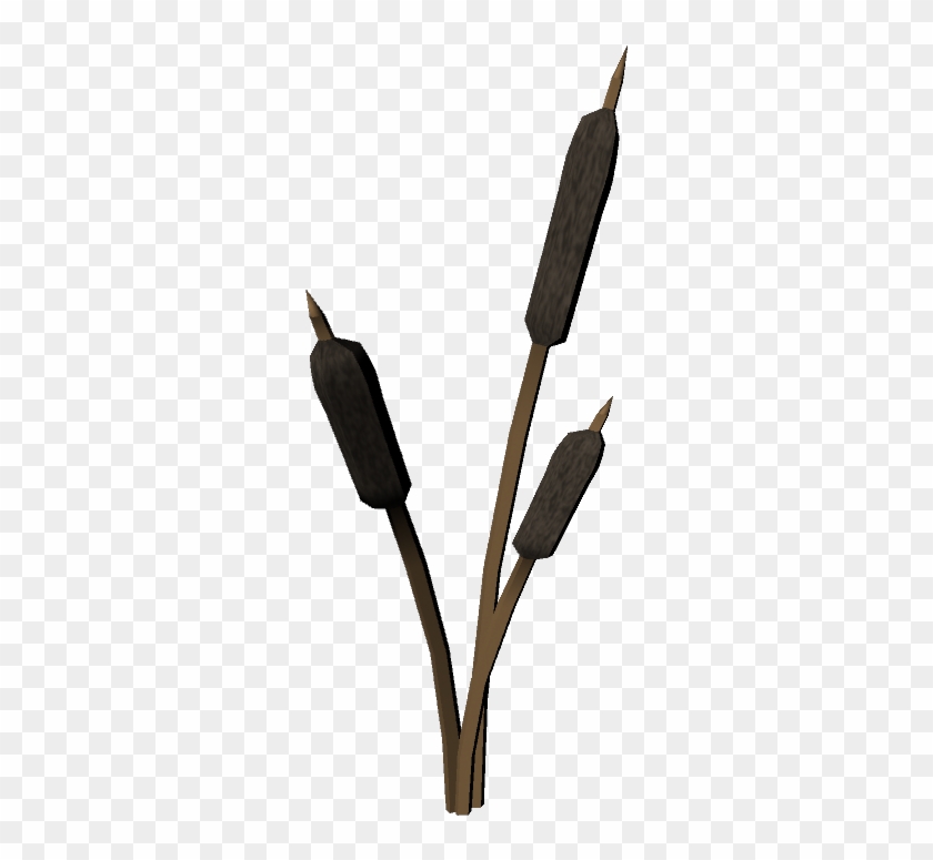 Cattails Plant 01 Wesley S Blog - Wire #1696911