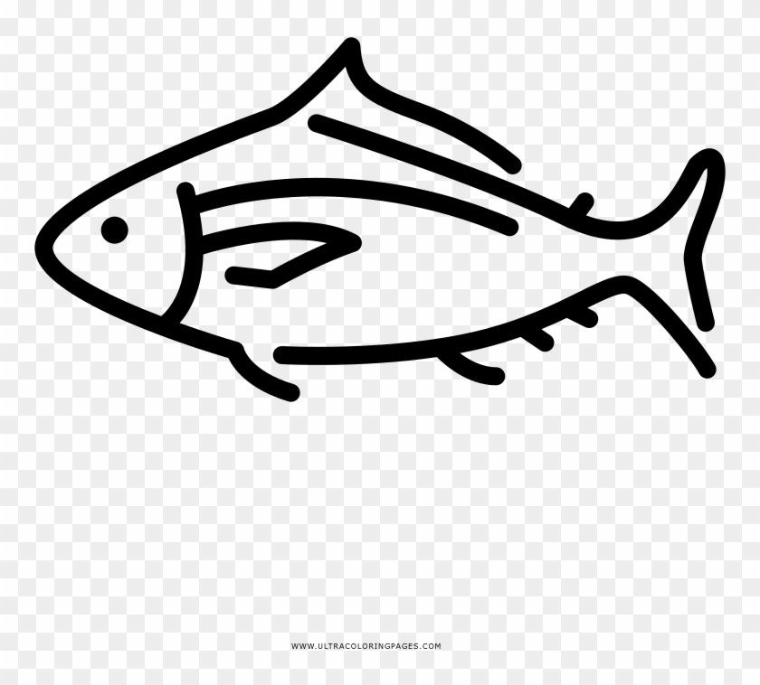 Tuna Coloring Page - Tuna #1697326