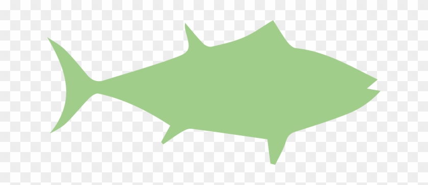 Albacore Tuna - Albacore Tuna #1697328