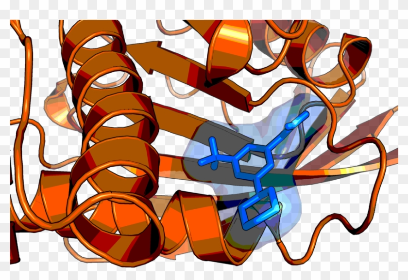 Step Structure And Allosteric Binding Site With Bound - Graphic Design #1699554