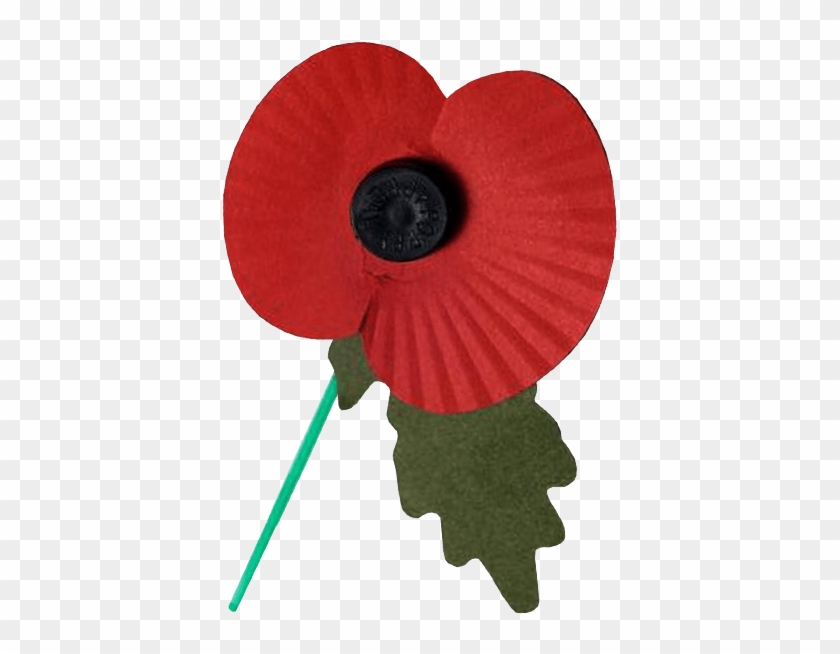 Poppy With No Background #1699915