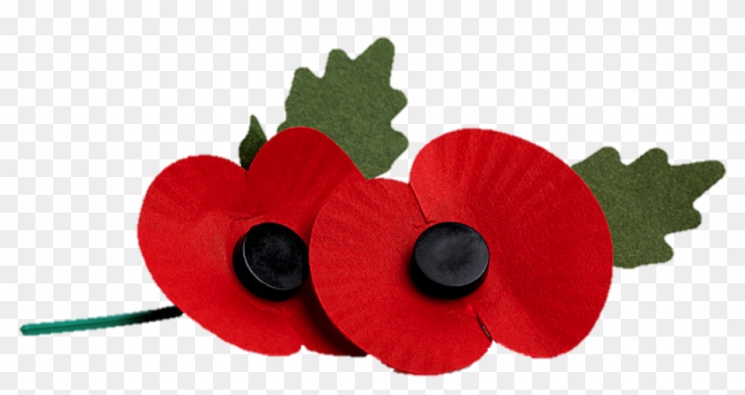 Poppy Clipart Poppy Appeal - Poppy Royal British Legion Png #1699963